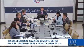 El fiscal Leonardo Alarcón advierte que se necesitan más de 630 nuevos agentes fiscales para enfrentar la acumulación masiva de trámites en el país. Un reportaje de Fausto Yépez