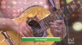 'Trío Tornasol' llego a esTAmañana para demostrar todo su talento solo con la melodía de sus voces acopladas con guitarra, bajo y requinto.