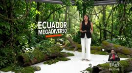 Investigadores de la UTPL, mediante un estudio, descubrieron una nueva especie de rana en los paramos del Ecuador. Un reportaje de Nathalie Jiménez