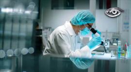 Hoy es posible conocer el origen biológico de nuestros antepasados a través de pruebas de ADN que revelan el porcentaje de ascendencia y las raíces familiares. Explicamos cómo funcionan los exámenes de ancestría, qué información entregan y cuál es su utilidad real.