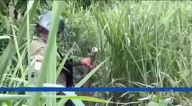 La empresa pública implementa cuatro estrategias urgentes para frenar las perforaciones clandestinas en la red de poliductos y oleoductos.