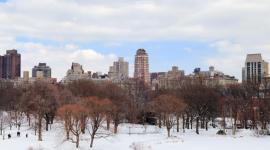 La llegada de la primavera Estados Unidos permitirá un alivio a una de las temporadas mas frías que presentó EE.UU.