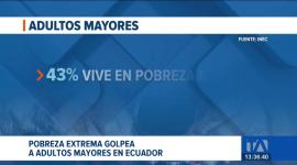 Desde la vigencia de esta ley en 2019, se han registrado miles de demandas en el país; conozca los montos que regirán durante este año para este grupo prioritario. Un reportaje de Belén Merizalde