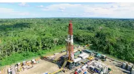 Orion Energy, cuya casa matriz está en Estados Unidos, contemplan una extensión de 10 años