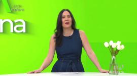 Luca Vega, productor musical compositor ecuatoriano, desde Nueva York nos comentó cómo se convirtió en uno de los pocos ecuatorianos que tene voz y voto en los premios Latin Grammy.