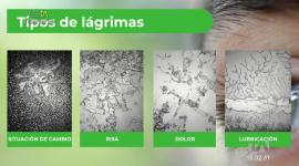 Gissela Echeverría, terapueta familiar, nos explicó por qué las lagrimas y el llanto son herramientas de liberacion emocional.