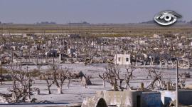 Calles cubiertas de sal, ruinas blancas y silencio. Cuesta creer que aquí hubo hoteles llenos, trenes cargados de turistas y veranos bulliciosos. Hace 40 años el agua avanzó y obligó a evacuar Villa Epecuén. Contamos qué paso cuando el lago retrocedió y el antiguo balneario reapareció como una ciudad fantasma.