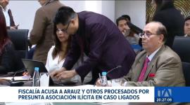 Durante la audiencia preparatoria de juicio, la entidad presentó el dictamen acusatorio contra siete procesados por presunta asociación ilícita. Un reportaje de Fausto Yépez