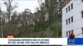 La Agencia Metropolitana de Control sancionó a una ciudadana con 10 salarios básicos por cada árbol cortado sin permiso. Un reportaje de Gustavo Jaramillo