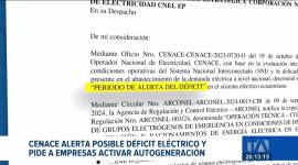 Cenace dispuso que empresas privadas operen sus propios generadores en horarios específicos. Un reportaje de Ismenia Solórzano