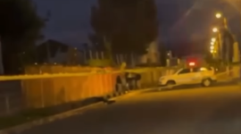 Hallan cuerpo sin vida en el sector de Capelo este jueves 19 de marzo