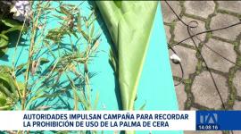 Quienes comercialicen palma de cera enfrentan penas de hasta tres años de prisión; autoridades promueven el uso de plantas alternativas para la celebración religiosa.