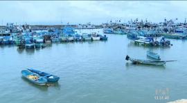 El Comandante de la Zona 4 revela la magnitud de la infiltración delictiva en el cantón manabita; solicita intervención urgente ante el traslado de droga hacia el exterior.