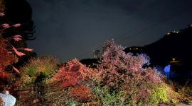 Una parte de la vía se vino abajo, en el sector Juan de Velasco, en Colta.