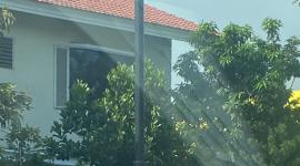 Vehículo completamente incinerado en el sector de Urdesa en Guayaquil