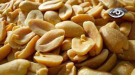 El maní ha recorrido siglos y cocinas hasta convertirse en un ingrediente imprescindible en Ecuador. Presente en platos como el viche, la salprieta o la guatita, su sabor despierta recuerdos y tradiciones. Hoy, entre investigación y conservación, este pequeño grano demuestra que tiene mucho que ofrecer.