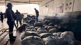 La Policía Nacional decomisó 75 bultos con aletas de tiburón en Guayaquil