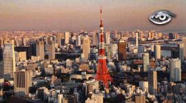 Tokio es una ciudad que no se detiene. En este recorrido por algunos de sus símbolos más conocidos aparecen el ritual del ramen, las curiosas cafeterías de gatos y el vasto universo del anime, parte fundamental de la cultura japonesa actual.