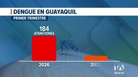 En Guayaquil existe un repunte de casos de dengue. La ciudadanía denuncia proliferación de mosquitos y exige campañas de fumigación. Un reportaje de Camila Guevara
