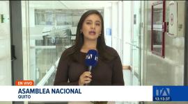 La canciller, Sommerfeld, informó durante su comparecencia legislativa, que las mesas de diálogo con el país vecino están suspendidas. Un reportaje de Karen Haro