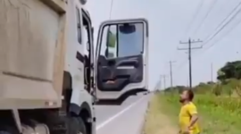 Un video de maltrato a una tortuga causó indignación ciudadana