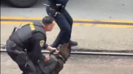 La rápida acción del equipo K-9 permite controlar al sospechoso tras el ataque reportado.