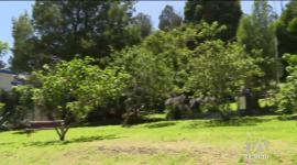 El descubrimiento del cadáver en el norte de Quito pone en alerta a los vecinos de El Batán Alto. Moradores denuncian falta de control en el sector. Un reportaje de Gustavo Jaramillo