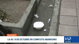 Aceras destrozadas, falta de control y un desorden creciente marcan a la Avenida 9 de Octubre. Se registra 20 años sin un plan de regeneración integral. Un reportaje de Camila Guevara