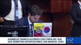 El tratado comercial busca facilitar el ingreso de piña, arándanos y chocolate ecuatoriano al mercado asiático; el Legislativo tramita la ratificación del documento para potenciar las exportaciones no petroleras.