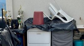 Los perros Rufino y Abril fueron rescatados en el sector de La Armenia