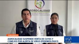 Agrocalidad frenó la comercialización en plazas y mercados tras detectar una posible amenaza sanitaria en cuyes y conejos. Un reportaje de Edith Jácome