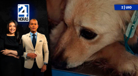 Revise las noticias más destacadas de Quito en la Primera Emisión del Noticiero 24 Horas de este viernes 17 de abril del 2026. Andrea Samaniego  y Juan Miguel Rodríguez.