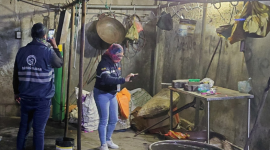 Decomisan carne ilegal en Quito