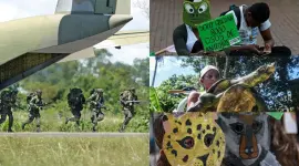 Especies en riesgo en Colombia.