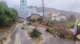 Mujer sobrevive tras quedar atrapada en el colapso de una vivienda
