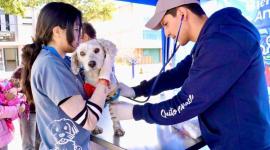 La UBA estará el domingo 26 de abril de 2026, en Carapungo.
