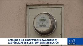 El sistema de distribución del país registra impacto financiero crítico según datos oficiales; la afectación a la economía ha crecido en los últimos 10 años. Un reportaje de Bernarda Cevallos