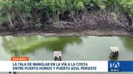 Entre Puerto Hondo y Puerto Azul, el ecosistema de manglar sigue siendo destruido pese a las denuncias ciudadanas. Un reportaje de Ever Moreira
