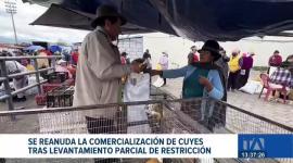 Agrocalidad flexibilizó la medida sanitaria permitiendo retomar la comercialización en Cotopaxi; no obstante, la venta de conejos sigue prohibida y bajo análisis técnico.
