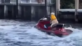 El curioso episodio se sumó a la lista de momentos virales protagonizados por animales