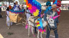 Entre rebuznos y aplausos, volvió a Otumba, Estado de México, la tradicional Feria Internacional del Burro.