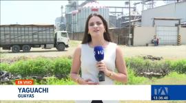 El proceso de compra pública de arroz en cáscara inició oficialmente para productores verificados; los centros de recepción se encuentran distribuidos estratégicamente en ambas provincias para facilitar el comercio.