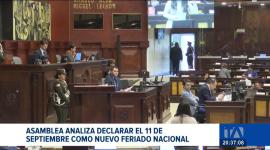 La iniciativa plantea conmemorar el "Día del Ecuador" en honor a la firma de la primera Constitución de la República; la propuesta es impulsada por dos legisladores de la bancada de gobierno.