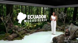 Investigadores identificaron a la Aphantochilus rainbow (araña cangrejo). Señalan que solo se conocían a tres especies de ese género. Un reportaje de Nathalie Jiménez