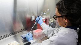 El Ministerio de Salud Pública dijo que se mantiene en alerta permanente y en contacto con otros países por el hantavirus.