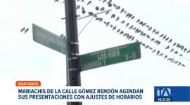 La tradición de las serenatas se adapta a la realidad del toque de queda en Guayaquil. Los grupos musicales ajustan sus horarios. Un reportaje de Jazmín Solís