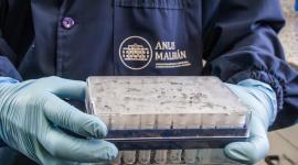 El virus de los Andes, es la cepa del hantavirus que se transmite de humano a humano