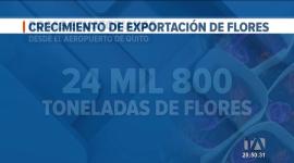 La temporada de mayo se consolida como la más exitosa para el sector florícola. La masiva salida de flores posiciona a Ecuador como un referente. Un reportaje de Camila Guevara