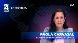 "La autoridad debe fijar la tarifa vinculada estrictamente a la calidad del servicio" destacó Paola Carvajal, experta en movilidad sostenible, sobre el sistema de transporte.