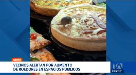 La UBA desplegó operativos de limpieza y control en varios sectores de la capital tras múltiples denuncias de presencia de ratas. Un reportaje de Mishell Villacís